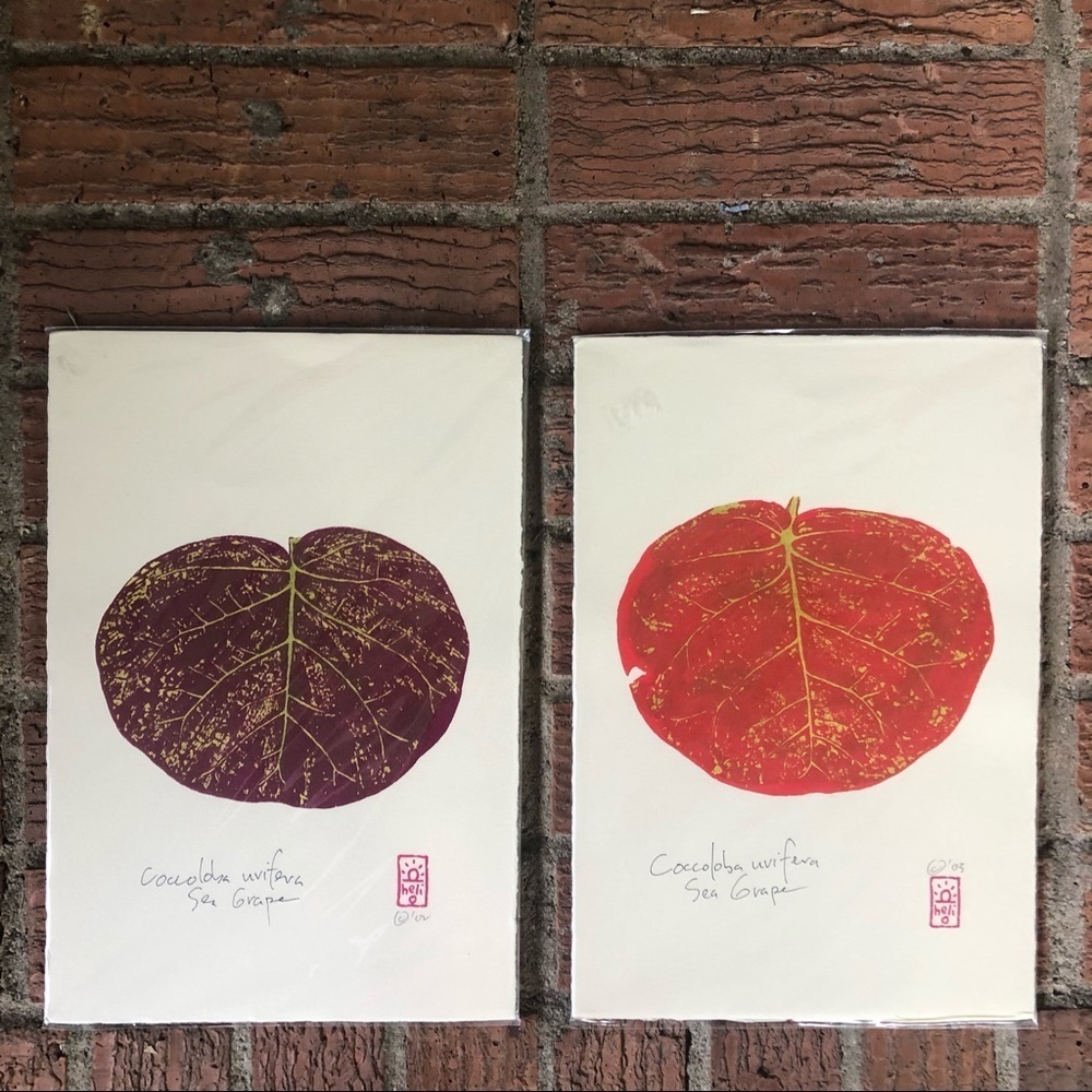 2 Contemporary Botanicals Hand Pulled Serigraphs